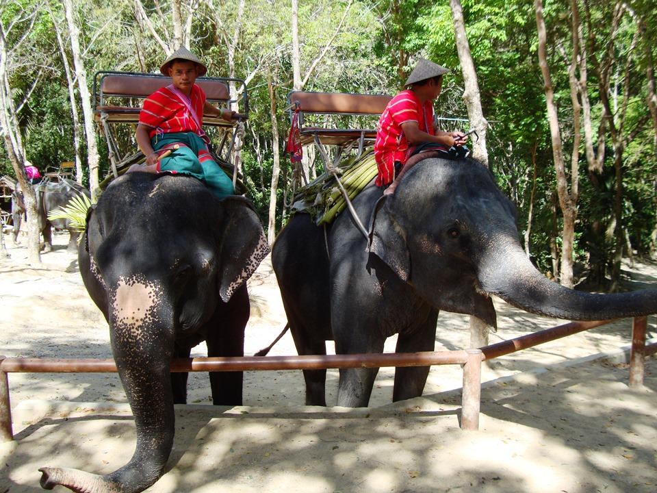 ITC - Thaïlande - 120 personnes